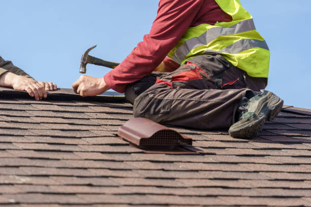 Best Storm Damage Roof Repair  in Hampton, VA