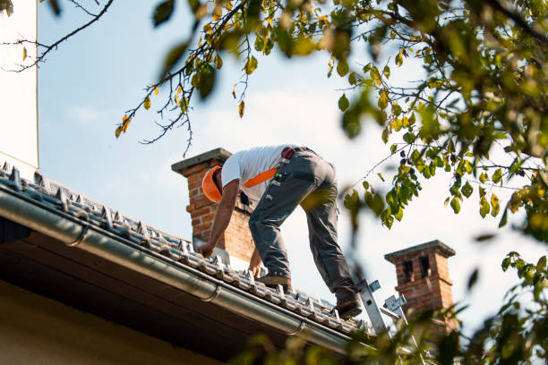 Best Metal Roofing Contractor  in Hampton, VA