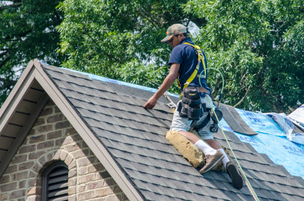 Best Shingle Roofing Installation  in Hampton, VA