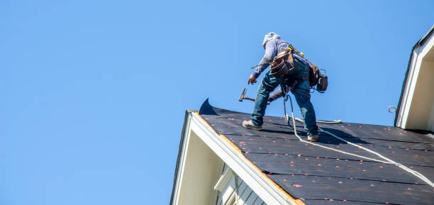 Best Roof Restoration Services  in Hampton, VA